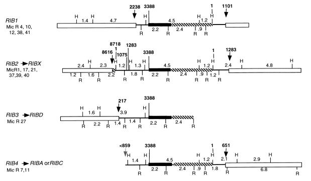 FIG. 7