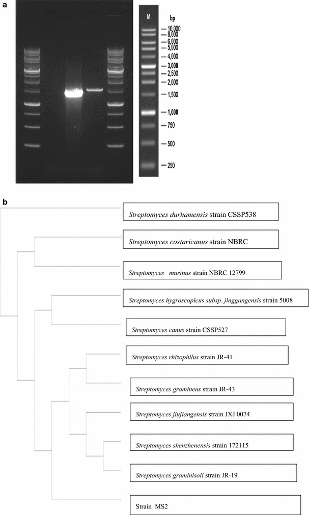 Fig. 2