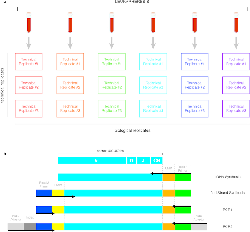 Extended Data Figure 7.