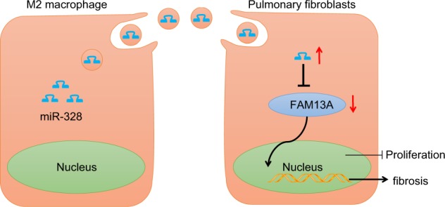 Fig. 9