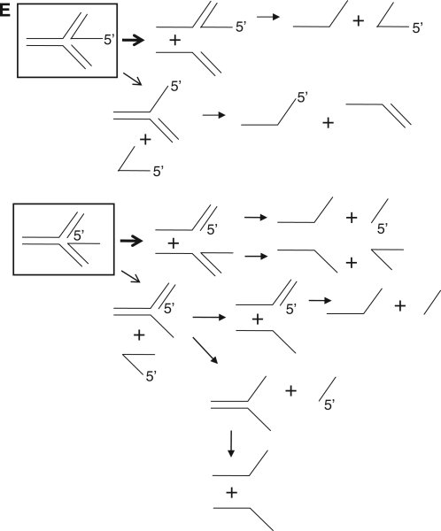 Figure 9.