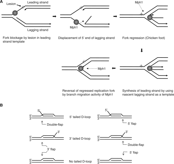 Figure 10.