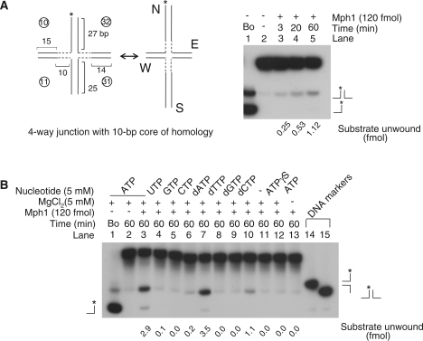 Figure 7.