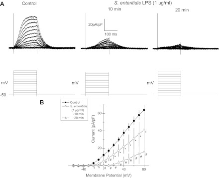 Fig. 6.