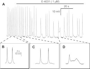 Fig. 8.