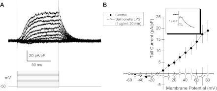 Fig. 5.