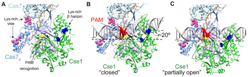 Figure 5