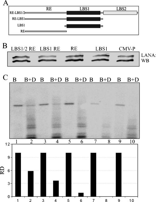 FIG. 6.