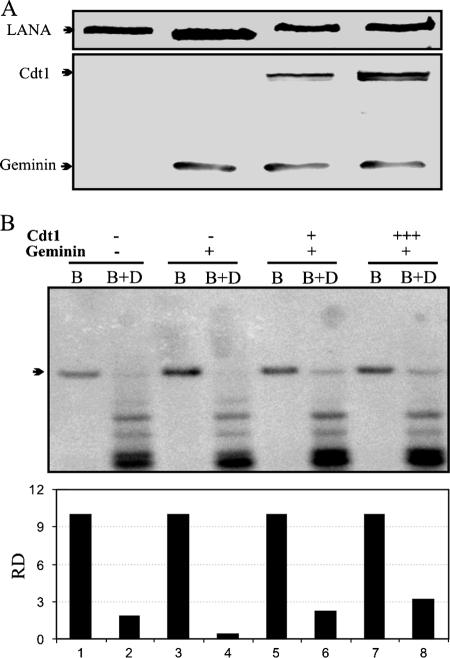 FIG. 5.