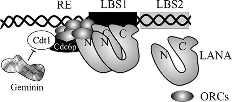 FIG. 8.