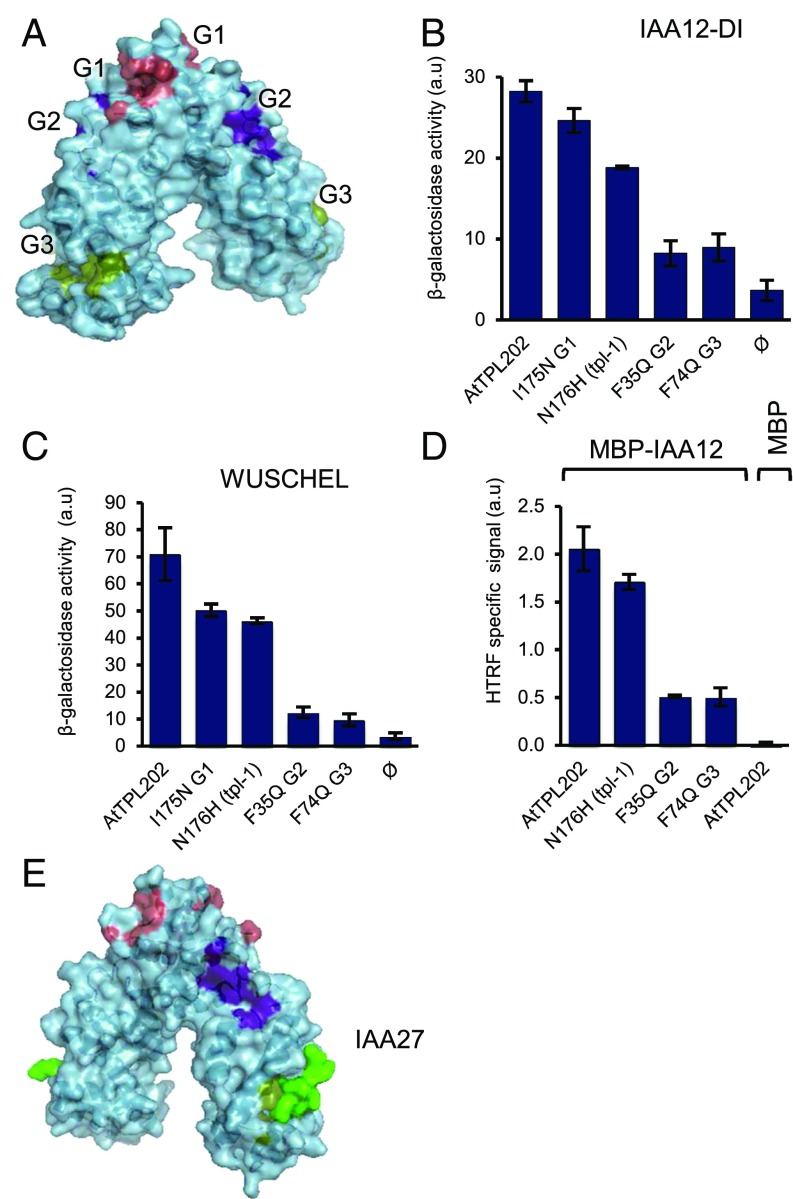 Fig. 3.