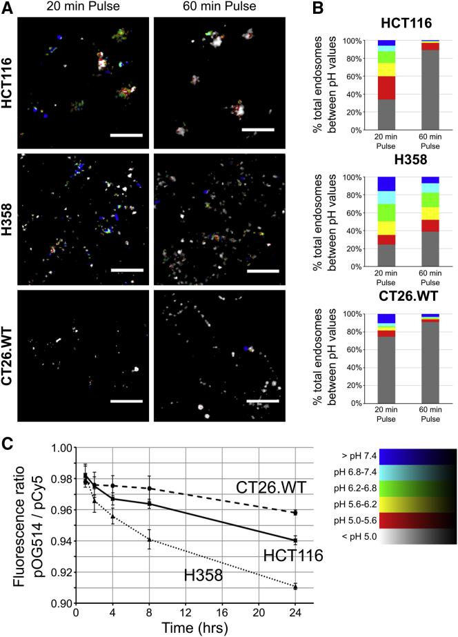 Figure 3