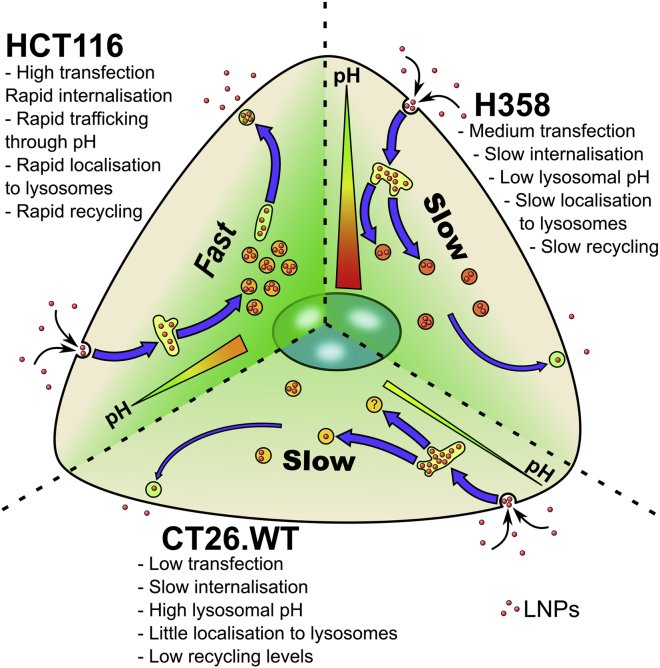 Figure 6