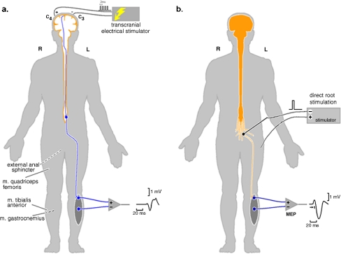 Fig. 1