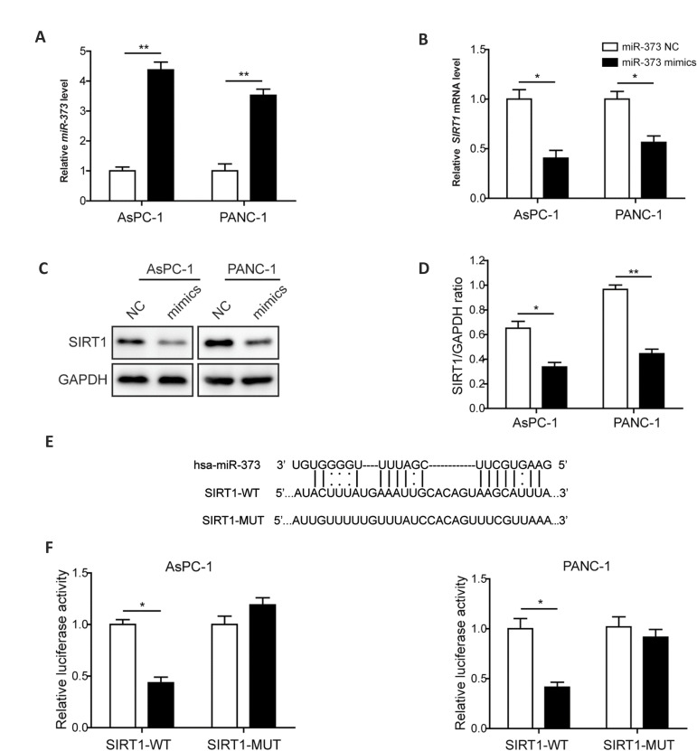 Fig.1