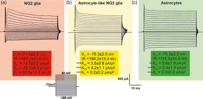 FIGURE 10