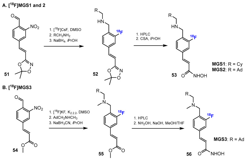 Scheme 14