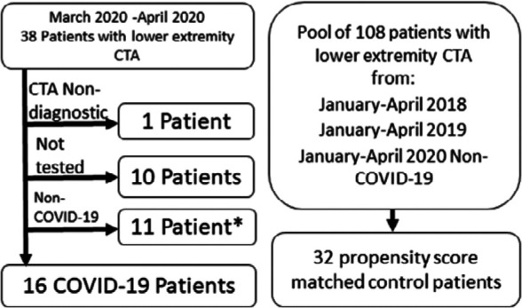 Patient flow for the study. Non-COVID-19 means that the patient tested negative for SARS CoV-2. *Two of these patients which tested negative were used as controls as described in the methods section.