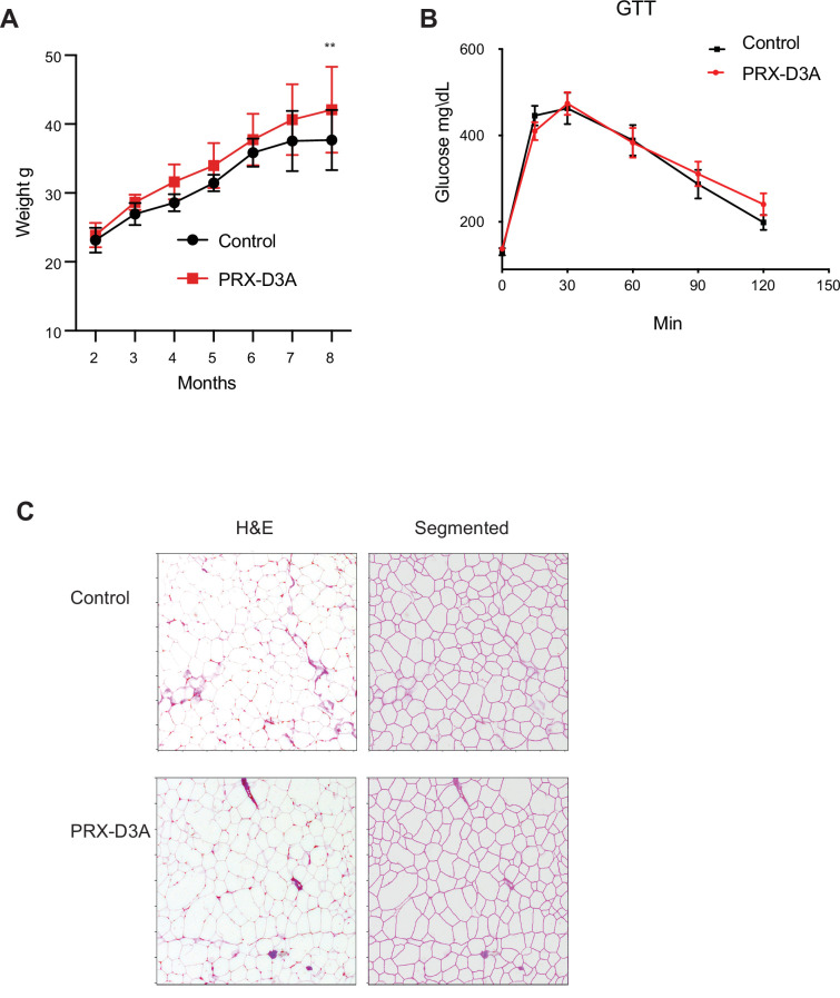 Figure 7—figure supplement 1.