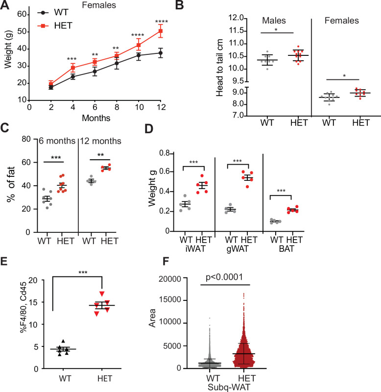 Figure 1—figure supplement 1.