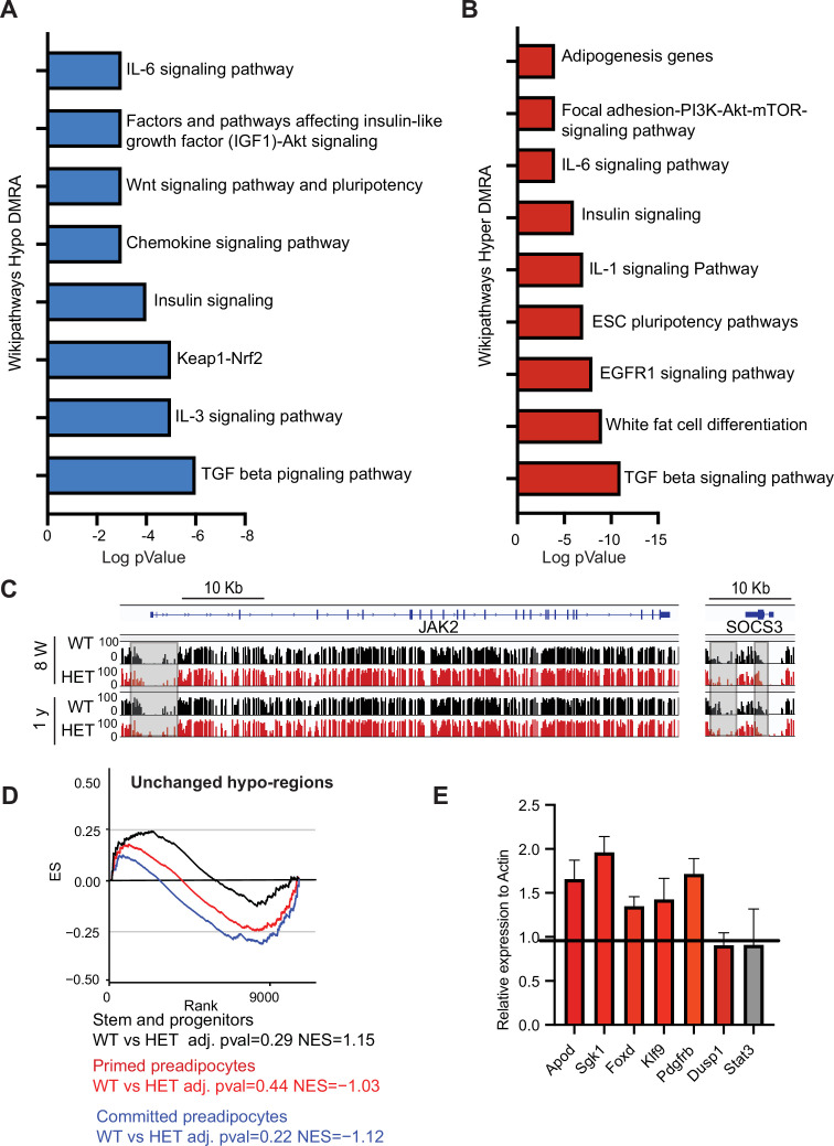 Figure 9—figure supplement 1.