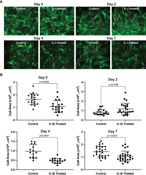 Figure 2