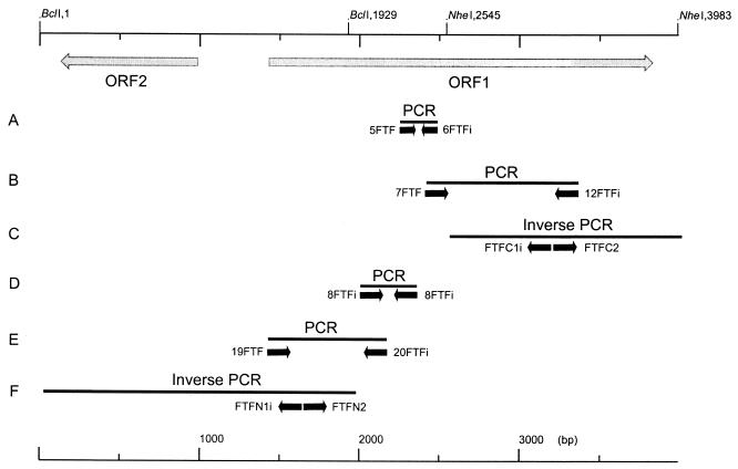 FIG. 2.