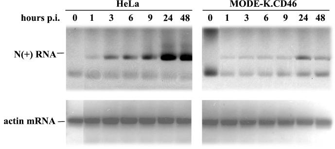 FIG. 4.