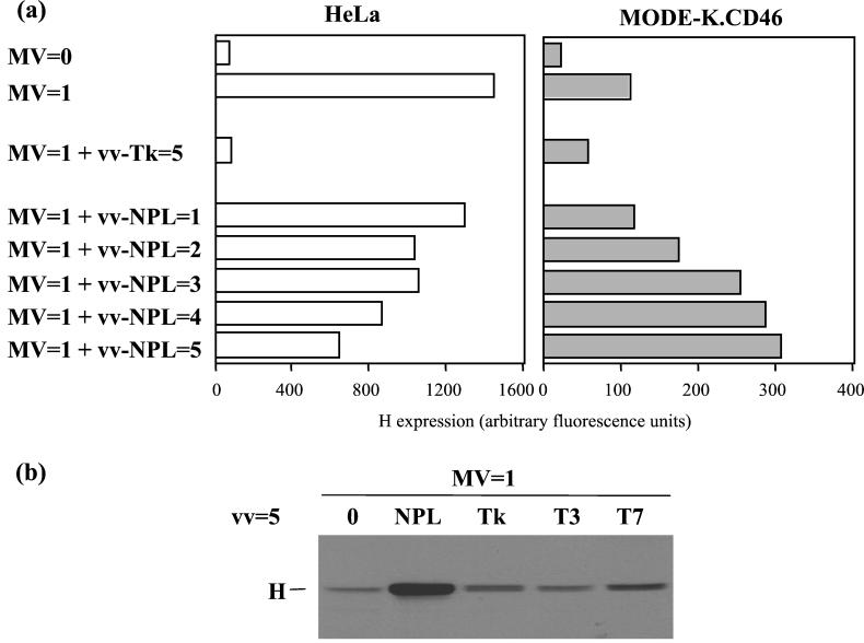 FIG. 6.