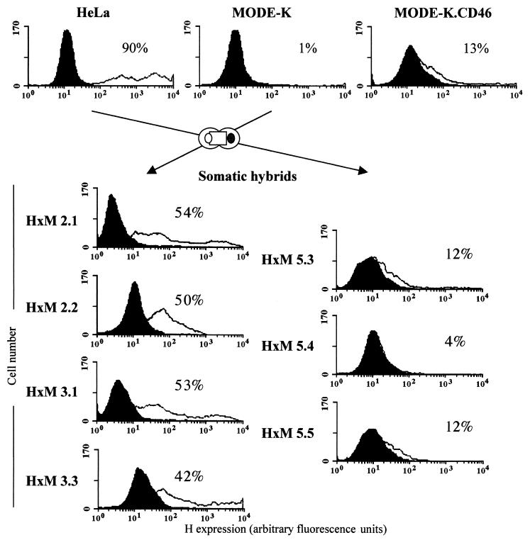 FIG. 9.