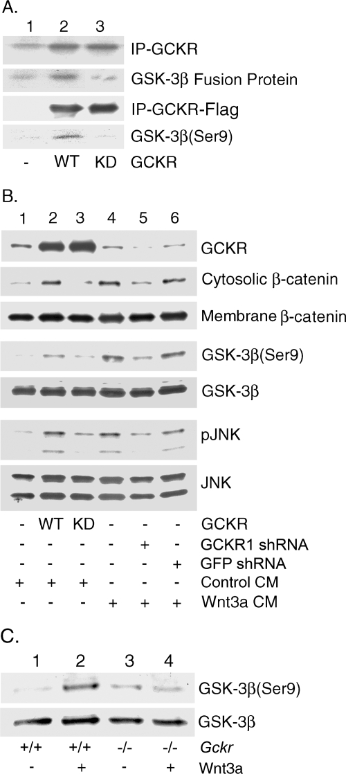 FIG. 6.