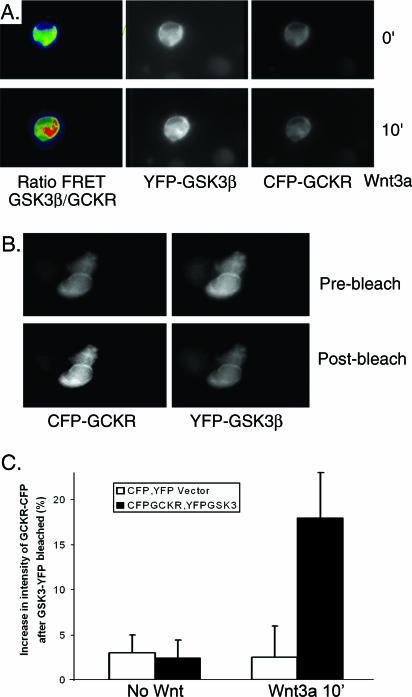 FIG. 8.