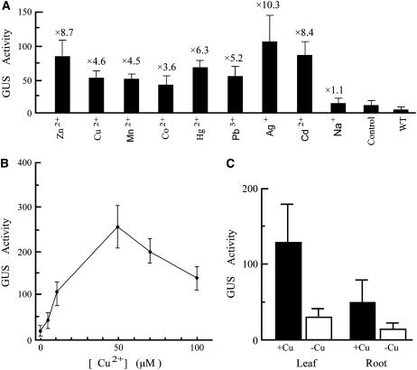 Figure 5.