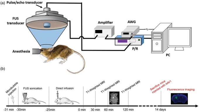 Figure 1.