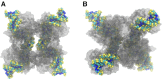 Figure 5.