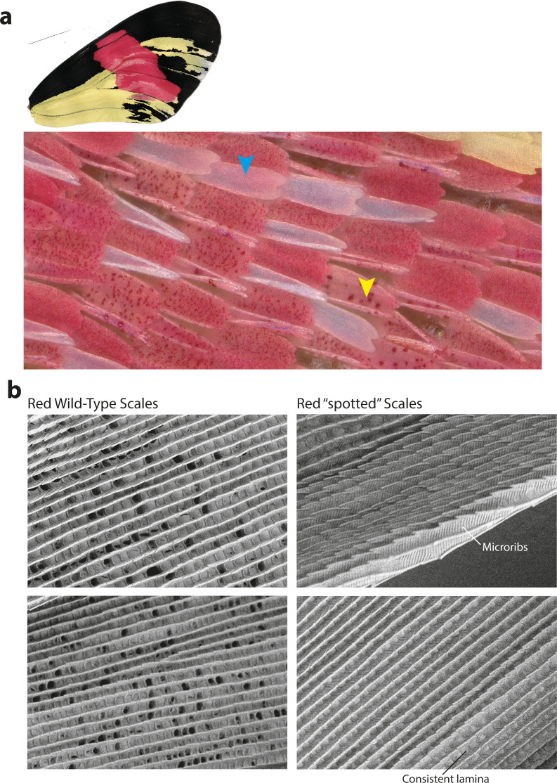 Figure 9—figure supplement 2.