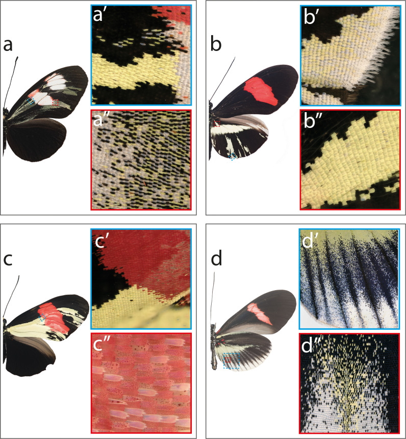 Figure 4—figure supplement 5.