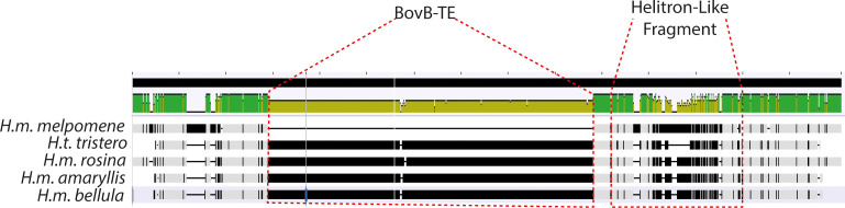 Figure 8—figure supplement 1.