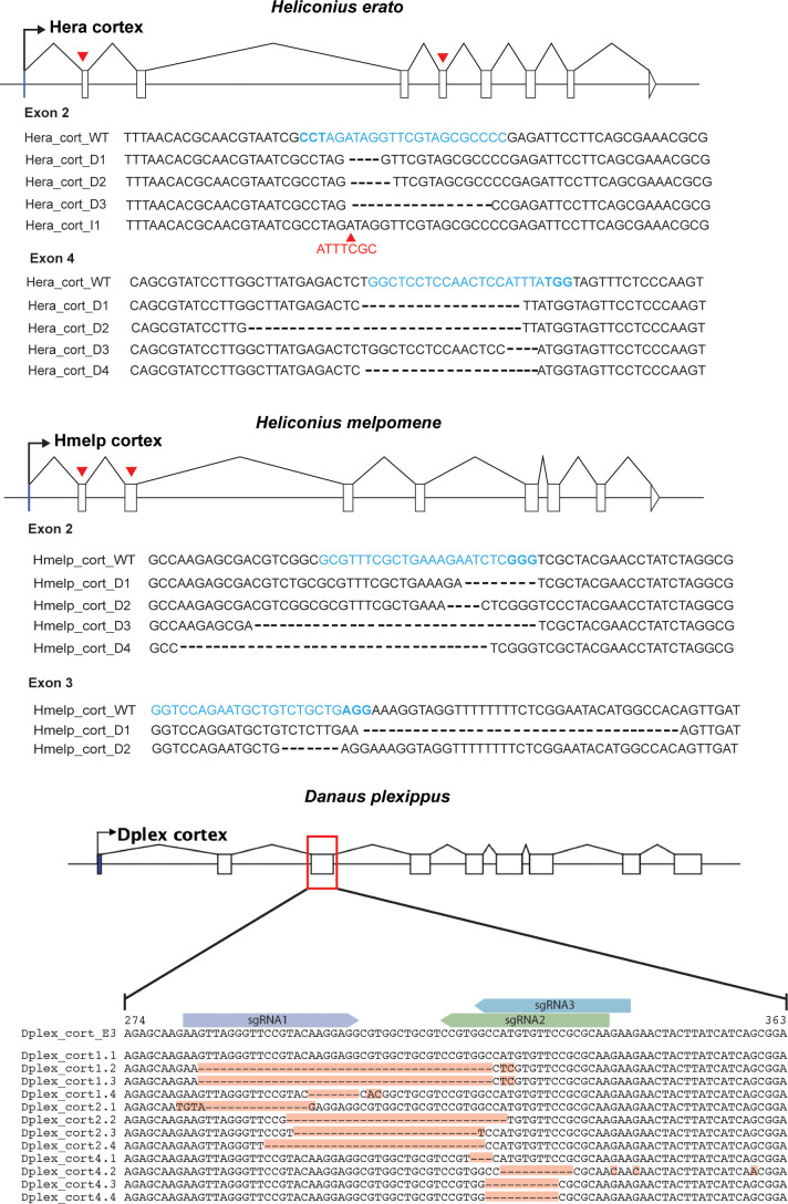 Figure 4—figure supplement 1.