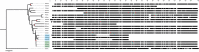 Figure 1—figure supplement 1.