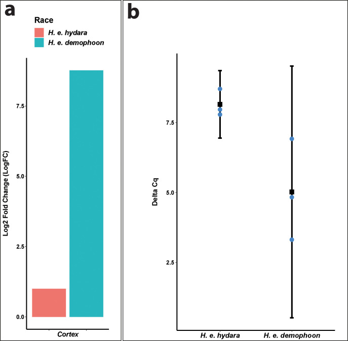 Figure 2—figure supplement 1.