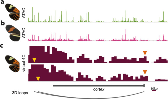 Figure 7—figure supplement 5.