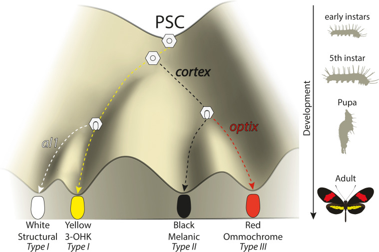 Figure 10.