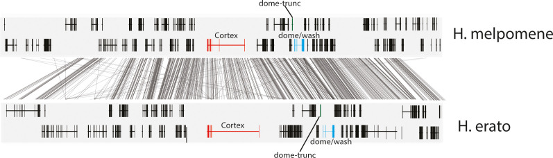 Figure 1—figure supplement 2.