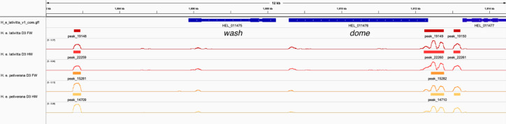 Figure 1—figure supplement 4.