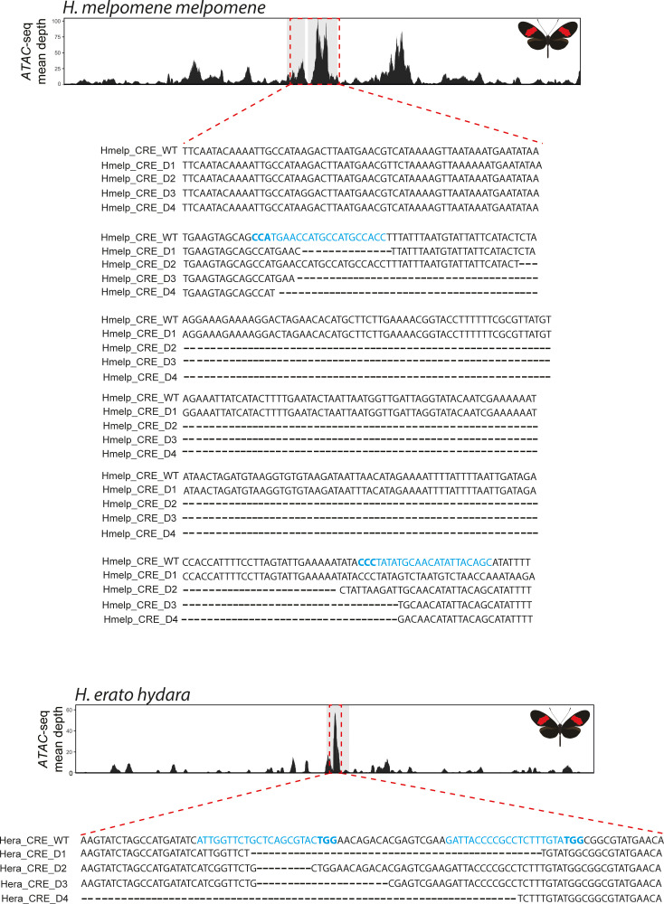 Figure 7—figure supplement 4.