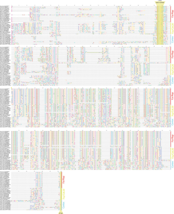 Figure 2—figure supplement 6.