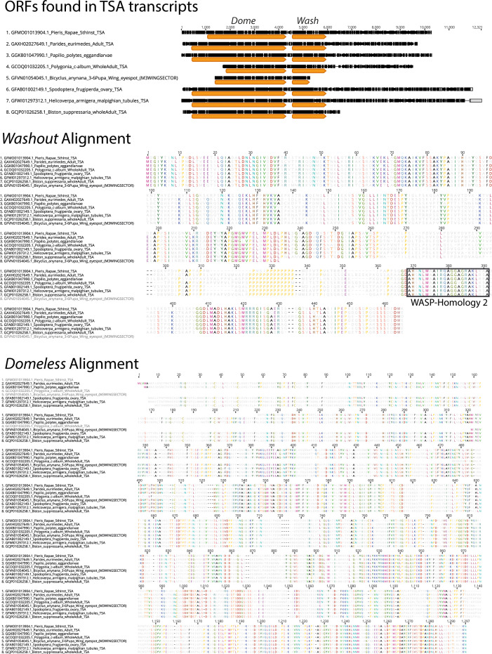 Figure 1—figure supplement 3.