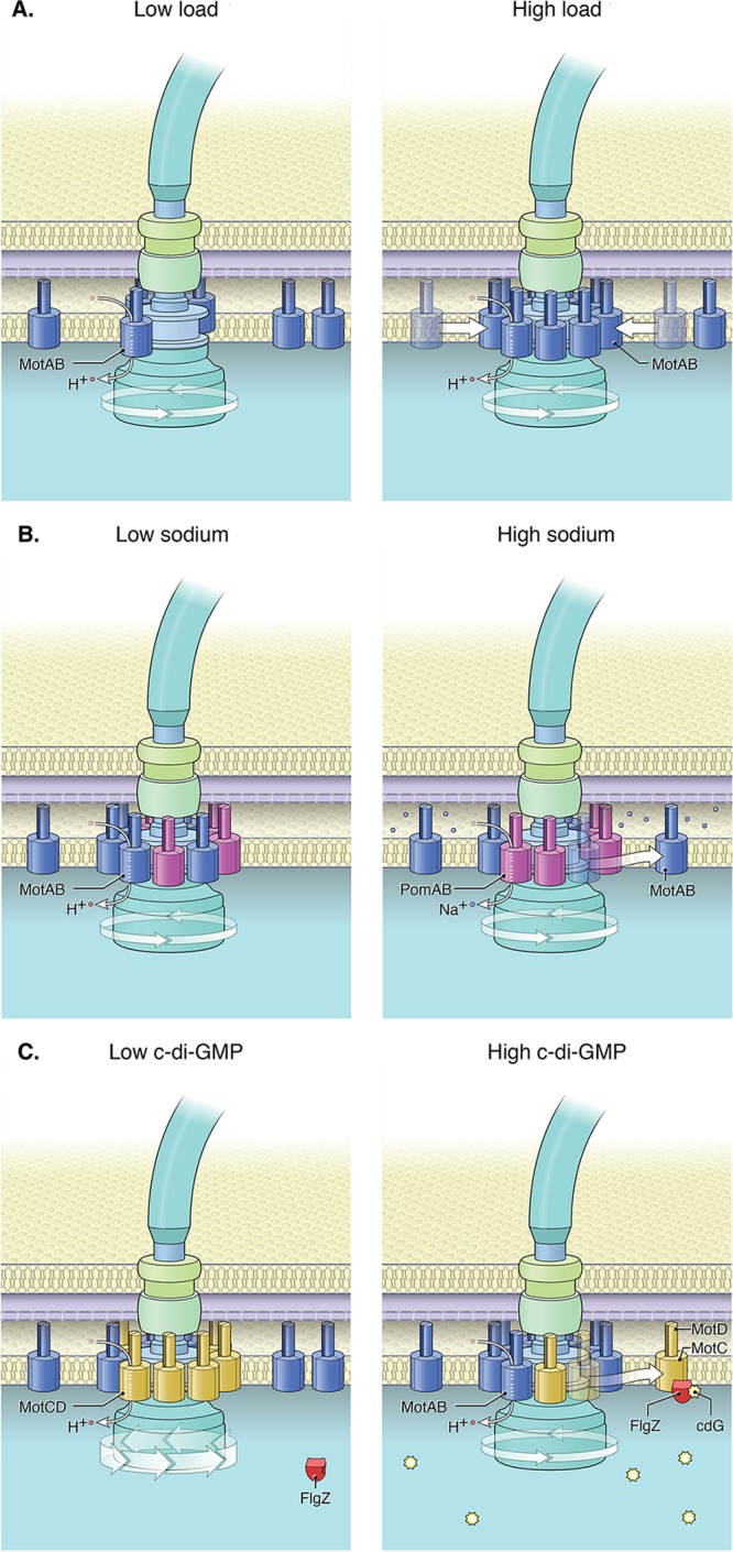 FIG 2