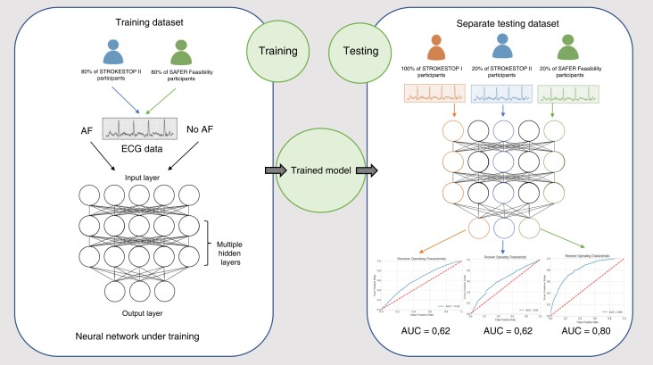 Graphical Abstract